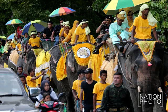 แห่ช้างนราธิวาส
สืบสานพิธีกรรมโบราณ ชายแดนใต้
