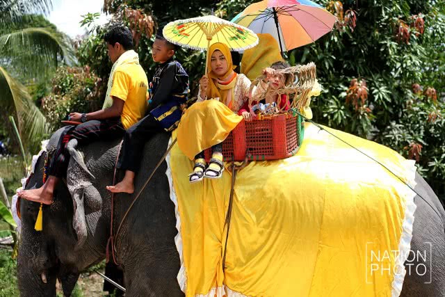 แห่ช้างนราธิวาส
สืบสานพิธีกรรมโบราณ ชายแดนใต้