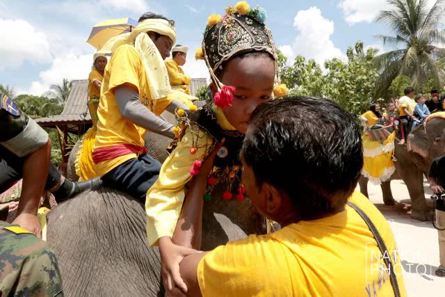 แห่ช้างนราธิวาส
สืบสานพิธีกรรมโบราณ ชายแดนใต้