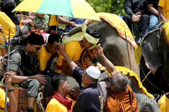 แห่ช้างนราธิวาส
สืบสานพิธีกรรมโบราณ ชายแดนใต้
