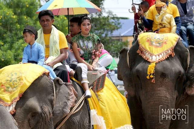 แห่ช้างนราธิวาส
สืบสานพิธีกรรมโบราณ ชายแดนใต้