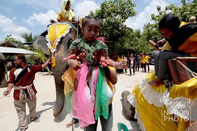 แห่ช้างนราธิวาส
สืบสานพิธีกรรมโบราณ ชายแดนใต้