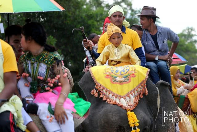 แห่ช้างนราธิวาส
สืบสานพิธีกรรมโบราณ ชายแดนใต้