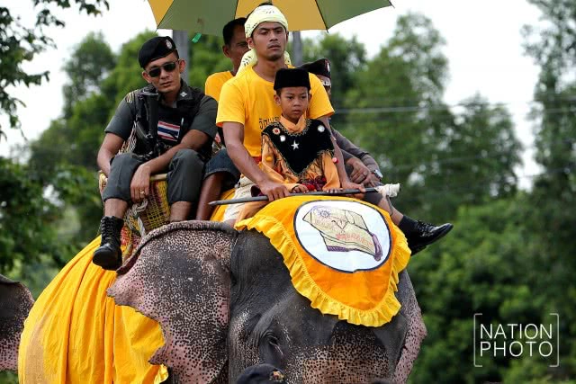 แห่ช้างนราธิวาส
สืบสานพิธีกรรมโบราณ ชายแดนใต้