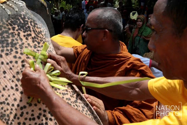 แห่ช้างนราธิวาส
สืบสานพิธีกรรมโบราณ ชายแดนใต้