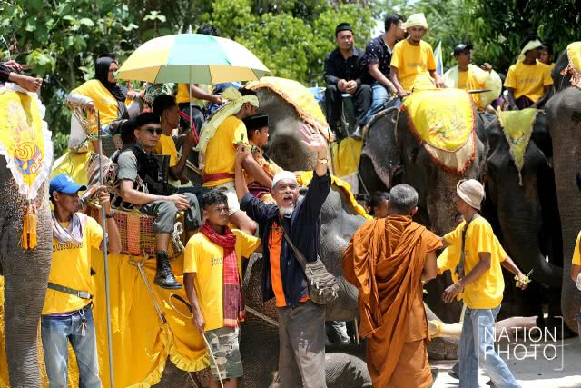 แห่ช้างนราธิวาส
สืบสานพิธีกรรมโบราณ ชายแดนใต้