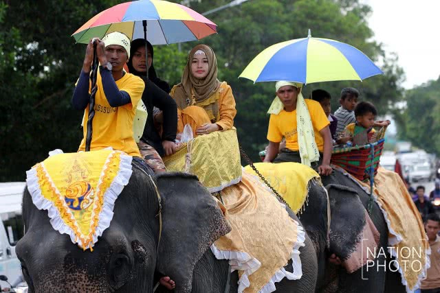 แห่ช้างนราธิวาส
สืบสานพิธีกรรมโบราณ ชายแดนใต้