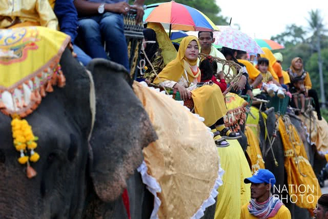 แห่ช้างนราธิวาส
สืบสานพิธีกรรมโบราณ ชายแดนใต้