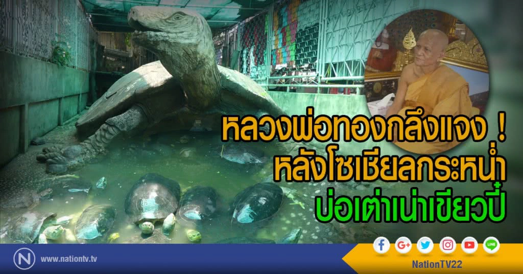 หลวงพ่อทองกลึงแจง !
หลังโซเชียลกระหน่ำ
บ่อเต่าเน่าเขียวปี๋