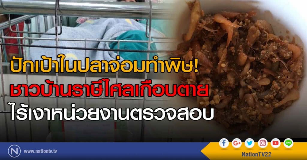 ปักเป้าในปลาจ่อมทำพิษ! ชาวบ้านราษีไศลเกือบตาย ไร้เงาหน่วยงานตรวจสอบ ปักเป้าในปลาจ่อมทำพิษ! ชาวบ้านราษีไศลเกือบตาย ไร้เงาหน่วยงานตรวจสอบ