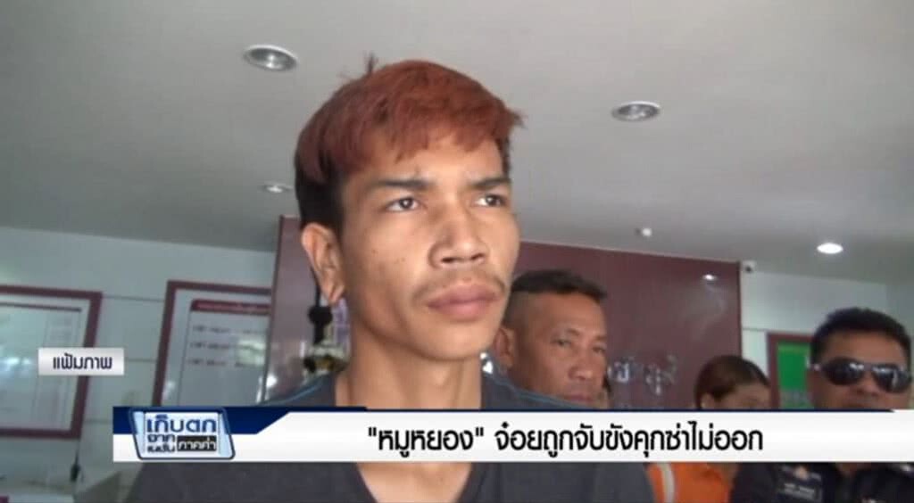 เก็บตกค่ำ 8-5-60 (1) หมูหยองจ๋อยถูกจับขังคุกซ่าไม่ออก เก็บตกค่ำ 8-5-60 (1) หมูหยองจ๋อยถูกจับขังคุกซ่าไม่ออก