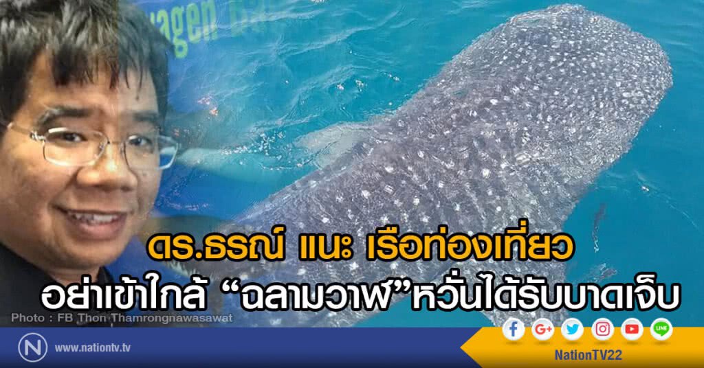 ดร.ธรณ์ แนะ เรือท่องเที่ยว
อย่าเข้าใกล้ฉลามวาฬหวั่นได้รับบาดเจ็บ ดร.ธรณ์ แนะ เรือท่องเที่ยว
อย่าเข้าใกล้ฉลามวาฬหวั่นได้รับบาดเจ็บ