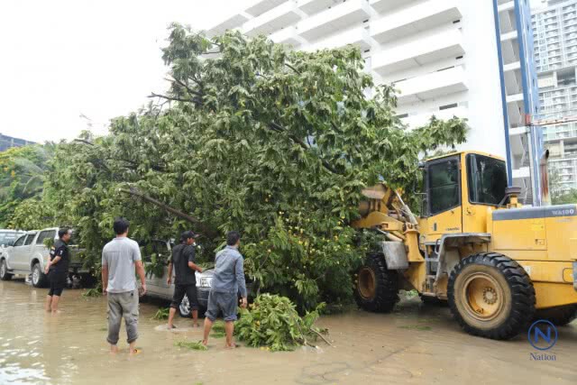 ลมฝนถล่มกรุงต้นไม้ล้มทับรถเจ้าหน้าที่กองปราบ-ถนนหลายสายน้ำขังทำรถติดหนึบ