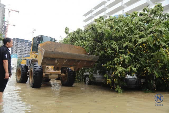 ลมฝนถล่มกรุงต้นไม้ล้มทับรถเจ้าหน้าที่กองปราบ-ถนนหลายสายน้ำขังทำรถติดหนึบ