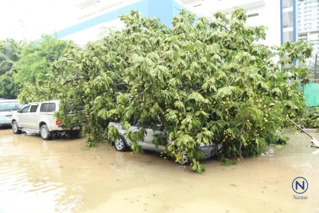 ลมฝนถล่มกรุงต้นไม้ล้มทับรถเจ้าหน้าที่กองปราบ-ถนนหลายสายน้ำขังทำรถติดหนึบ
