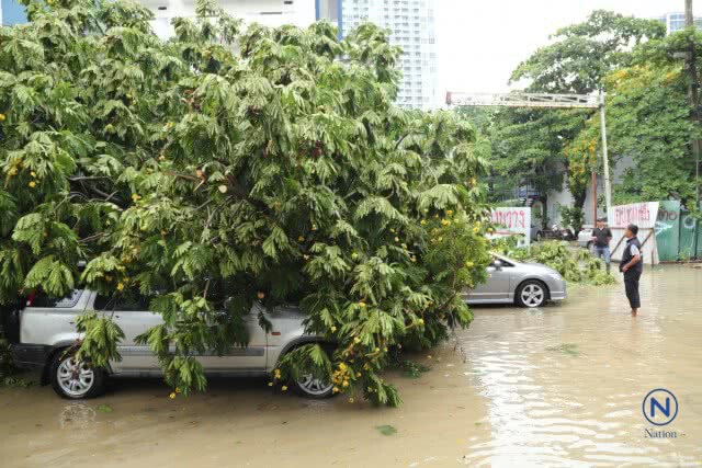 ลมฝนถล่มกรุงต้นไม้ล้มทับรถเจ้าหน้าที่กองปราบ-ถนนหลายสายน้ำขังทำรถติดหนึบ