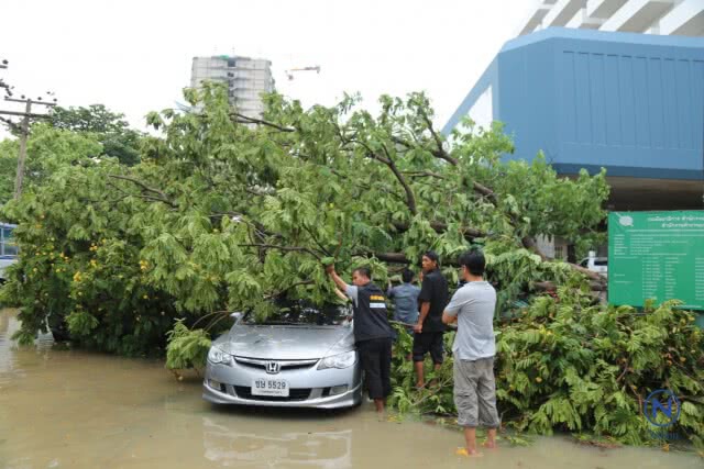 ลมฝนถล่มกรุงต้นไม้ล้มทับรถเจ้าหน้าที่กองปราบ-ถนนหลายสายน้ำขังทำรถติดหนึบ