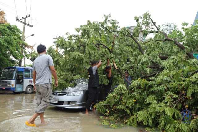 ลมฝนถล่มกรุงต้นไม้ล้มทับรถเจ้าหน้าที่กองปราบ-ถนนหลายสายน้ำขังทำรถติดหนึบ