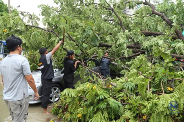 ลมฝนถล่มกรุงต้นไม้ล้มทับรถเจ้าหน้าที่กองปราบ-ถนนหลายสายน้ำขังทำรถติดหนึบ