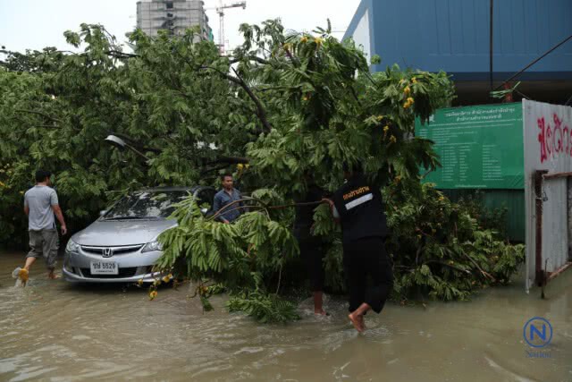ลมฝนถล่มกรุงต้นไม้ล้มทับรถเจ้าหน้าที่กองปราบ-ถนนหลายสายน้ำขังทำรถติดหนึบ
