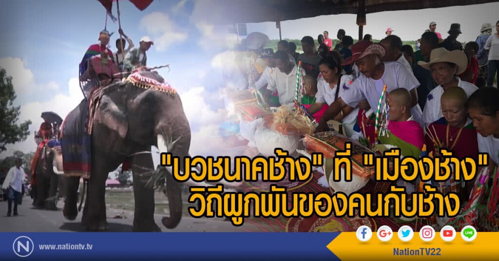 "บวชนาคช้าง" ที่ "เมืองช้าง"
วิถีผูกพันของคนกับช้าง "บวชนาคช้าง" ที่ "เมืองช้าง"
วิถีผูกพันของคนกับช้าง