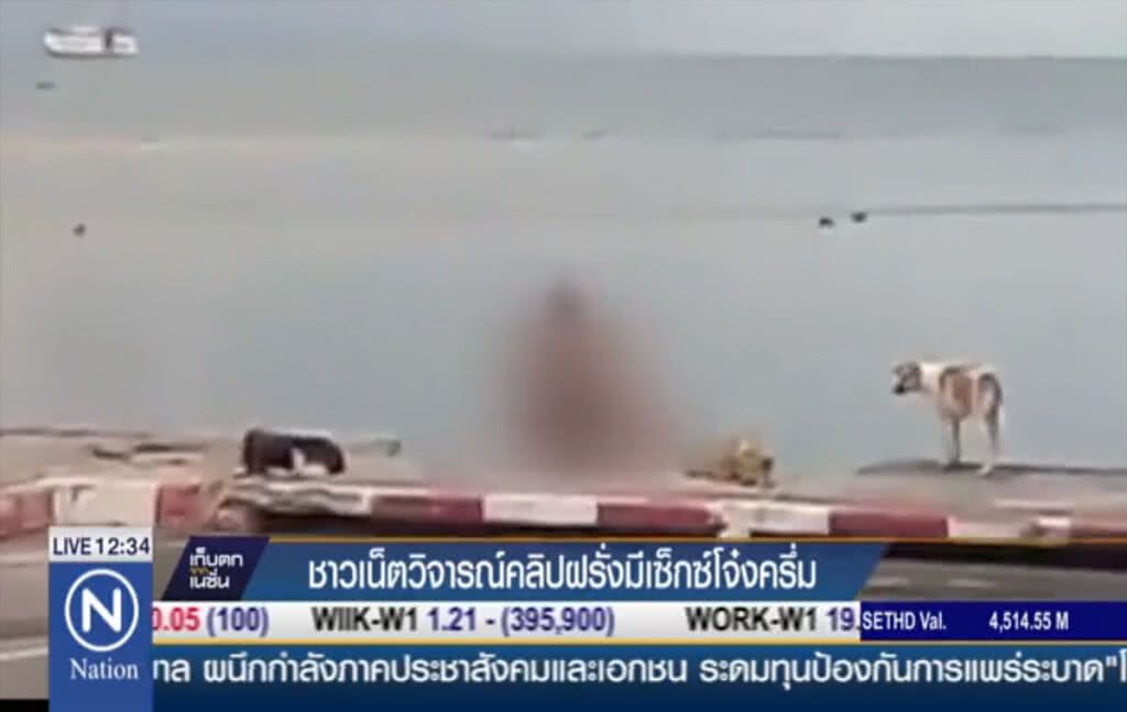 ชาวเน็ตวิจารณ์คลิปฝรั่งมีเซ็กซ์โจ๋งครึ่ม