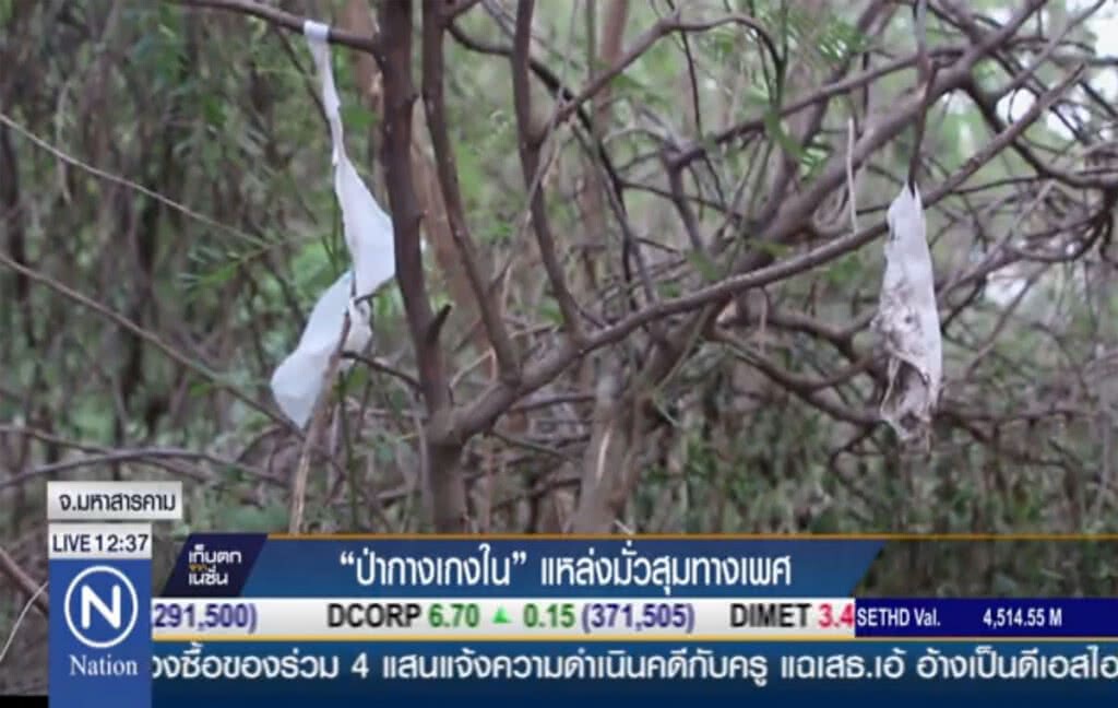 "ป่ากางเกงใน" แหล่งมั่วสุมทางเพศ
