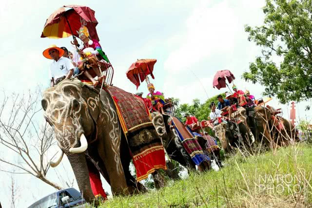 พิธีแห่นาคบนหลังช้าง พิธีเก่าแก่ของชาว จ.สุรินทร์