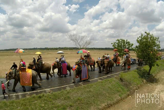 พิธีแห่นาคบนหลังช้าง พิธีเก่าแก่ของชาว จ.สุรินทร์