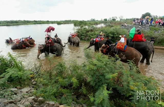 พิธีแห่นาคบนหลังช้าง พิธีเก่าแก่ของชาว จ.สุรินทร์