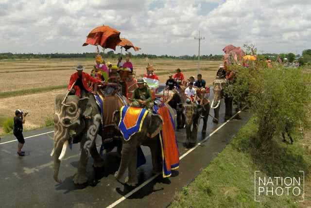พิธีแห่นาคบนหลังช้าง พิธีเก่าแก่ของชาว จ.สุรินทร์