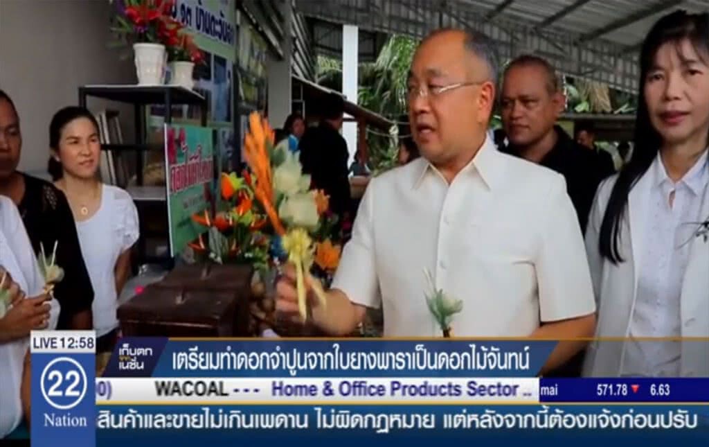 เตรียมทำดอกจำปูนจากใบยางพารา เป็นดอกไม้จันทน์ เตรียมทำดอกจำปูนจากใบยางพารา เป็นดอกไม้จันทน์