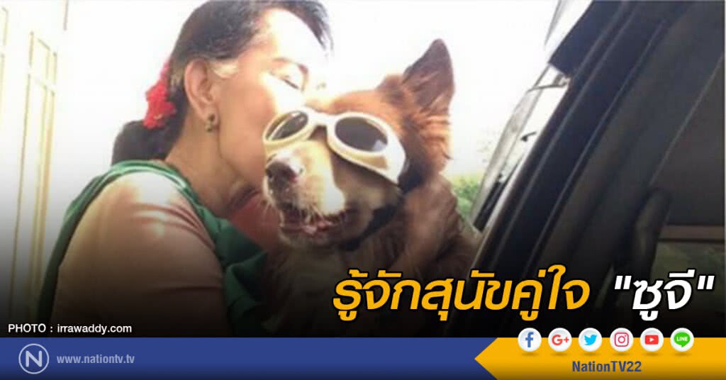 รู้จักสุนัขคู่ใจ "ซูจี" รู้จักสุนัขคู่ใจ "ซูจี"
