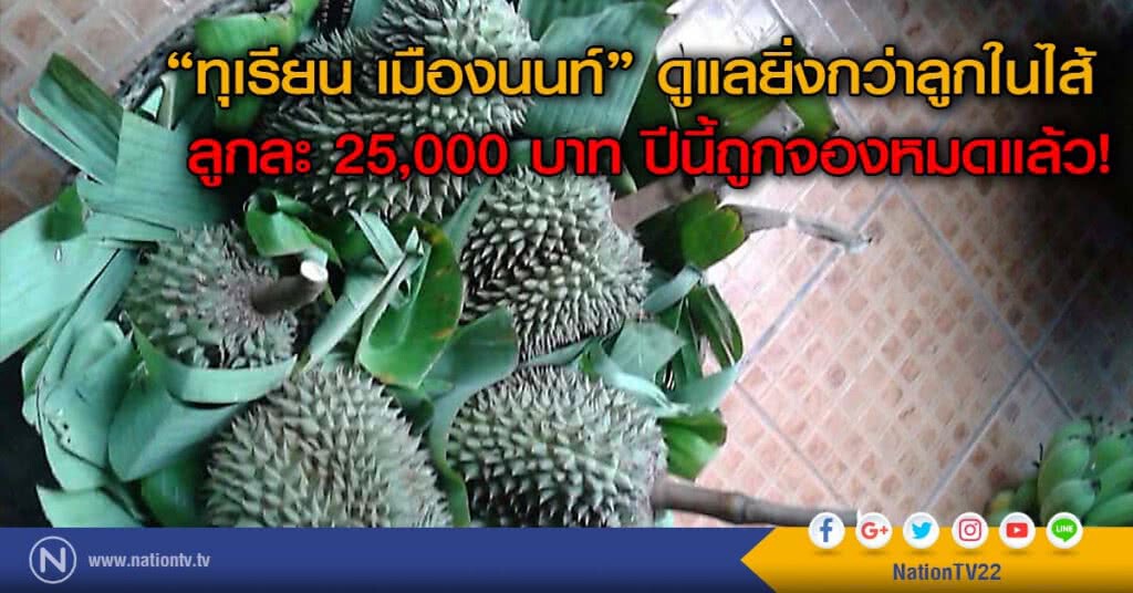 "ทุเรียน เมืองนนท์" ดูแลยิ่งกว่าลูกในไส้
ลูกละ 25,000 บาท ปีนี้ถูกจองหมดแล้ว!