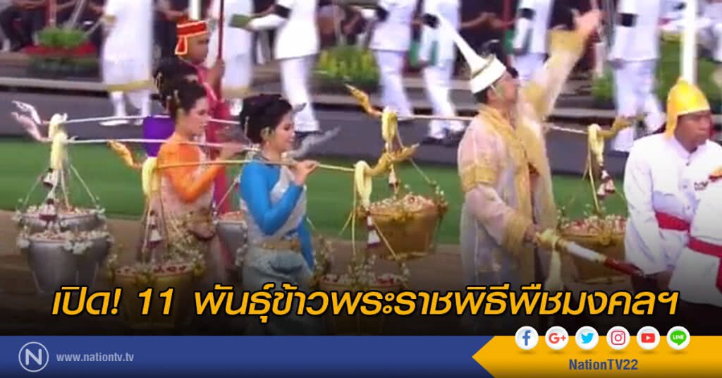 เปิด! 11 พันธุ์ข้าวพระราชพิธีพืชมงคลฯ เปิด! 11 พันธุ์ข้าวพระราชพิธีพืชมงคลฯ