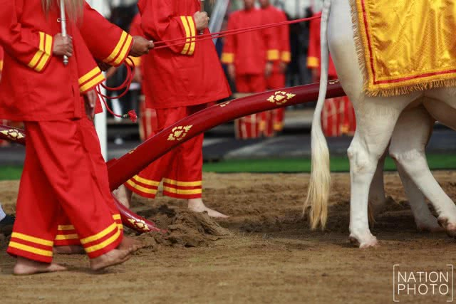 พิธีพืชมงคลจรดพระนังคัลแรกนาขวัญ ประจำปีพุทธศักราช 2560