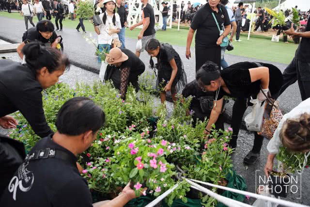 ประชาชนเก็บเมล็ดข้าวเปลือก หลังเสร็จพระราชพิธีพืชมงคลจรดพระนังคัลแรกนาขวัญ
