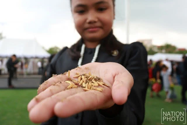 พิธีพืชมงคลจรดพระนังคัลแรกนาขวัญ ประจำปีพุทธศักราช 2560