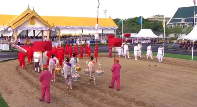 พระโคกินข้าว-ข้าวโพด-หญ้า ทำนายว่า ธัญญาหาร ผลาหาร-น้ำท่าบริบูรณ์