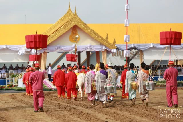 พิธีพืชมงคลจรดพระนังคัลแรกนาขวัญ ประจำปีพุทธศักราช 2560