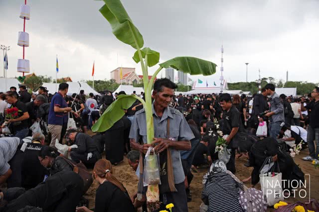 ประชาชนเก็บเมล็ดข้าวเปลือก หลังเสร็จพระราชพิธีพืชมงคลจรดพระนังคัลแรกนาขวัญ