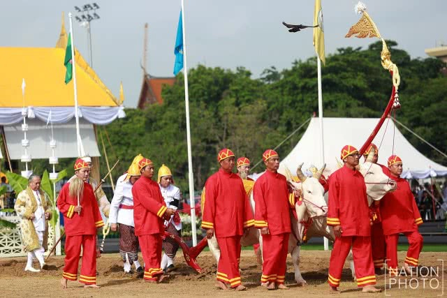 พิธีพืชมงคลจรดพระนังคัลแรกนาขวัญ ประจำปีพุทธศักราช 2560