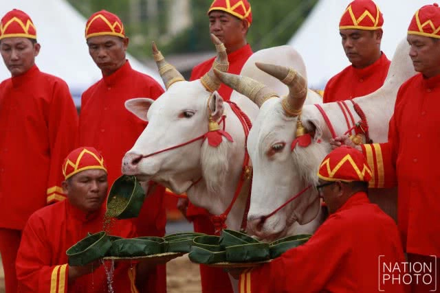 พิธีพืชมงคลจรดพระนังคัลแรกนาขวัญ ประจำปีพุทธศักราช 2560