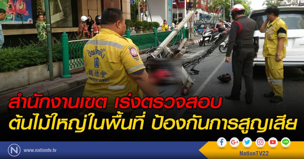 สำนักงานเขตเร่งตรวจสอบต้นไม้ใหญ่ในพื้นที่ ป้องกันการสูญเสีย