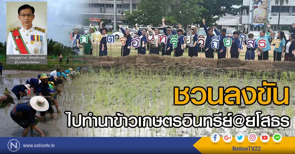 ชวนลงขัน
ไปทำนาข้าวเกษตรอินทรีย์@ยโสธร ชวนลงขัน
ไปทำนาข้าวเกษตรอินทรีย์@ยโสธร