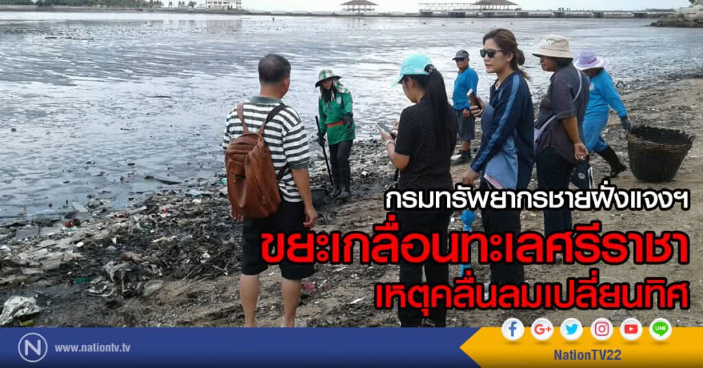 กรมทรัพยากรชายฝั่งแจงฯ
ขยะเกลื่อนทะเลศรีราชา
เหตุคลื่นลมเปลี่ยนทิศ กรมทรัพยากรชายฝั่งแจงฯ
ขยะเกลื่อนทะเลศรีราชา
เหตุคลื่นลมเปลี่ยนทิศ