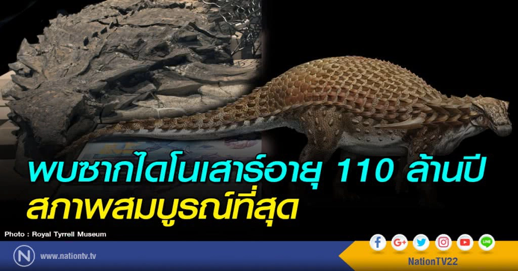 พบซากไดโนเสาร์อายุ 110 ล้านปี สภาพสมบูรณ์ที่สุด