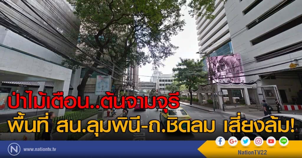 ป่าไม้เตือน..ต้นจามจุรี
พื้นที่ สน.ลุมพินี-ถ.ชิดลม เสี่ยงล้ม! ป่าไม้เตือน..ต้นจามจุรี
พื้นที่ สน.ลุมพินี-ถ.ชิดลม เสี่ยงล้ม!