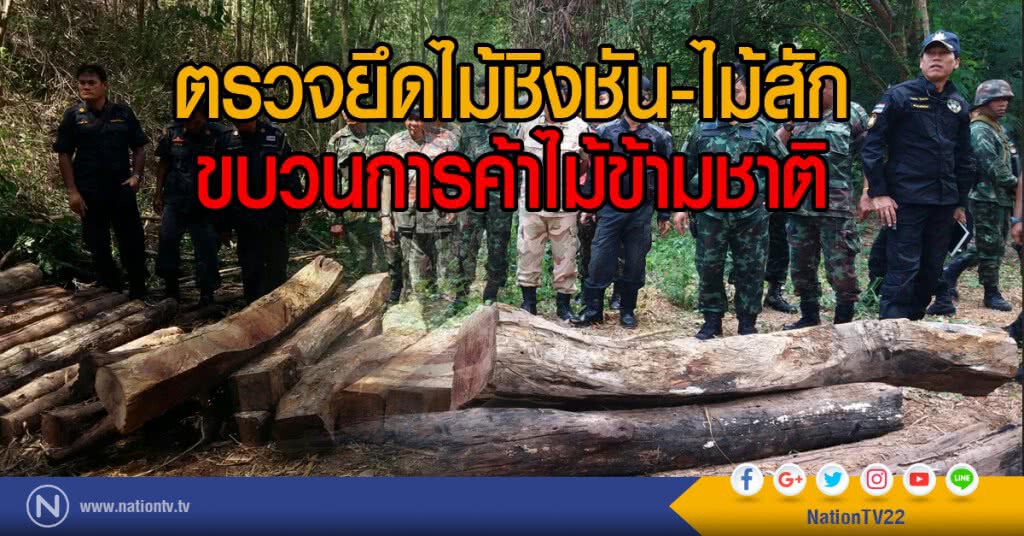 ตรวจยึดไม้ชิงชัน-ไม้สัก
ขบวนการค้าไม้ข้ามชาติ