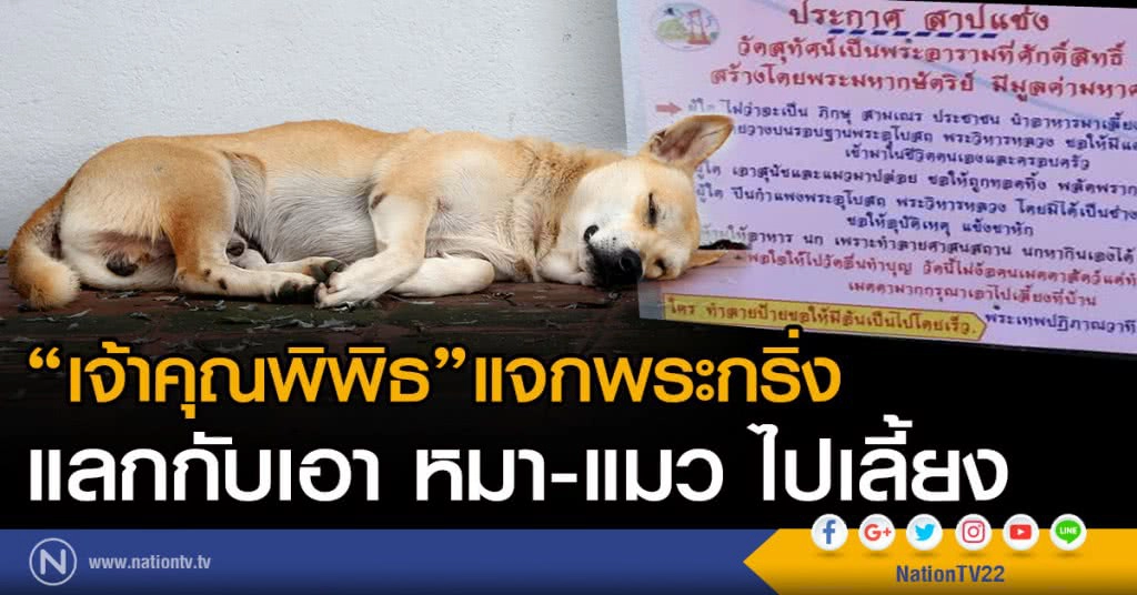 "เจ้าคุณพิพิธ" แจกพระกริ่ง 
แลกกับเอา หมา-แมว ไปเลี้ยง